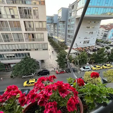 Lägenhet Mimosa's With Lovely Balcony Tirana
