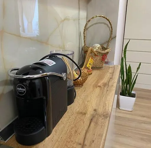 Mimosa's With Lovely Balcony Appartamento