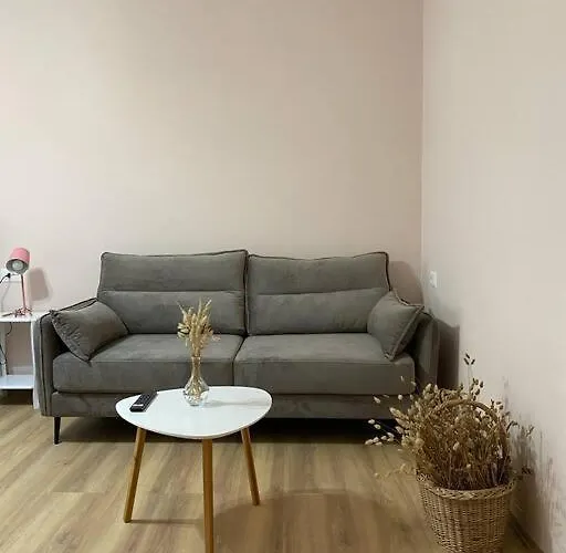 Mimosa's With Lovely Balcony Tirana